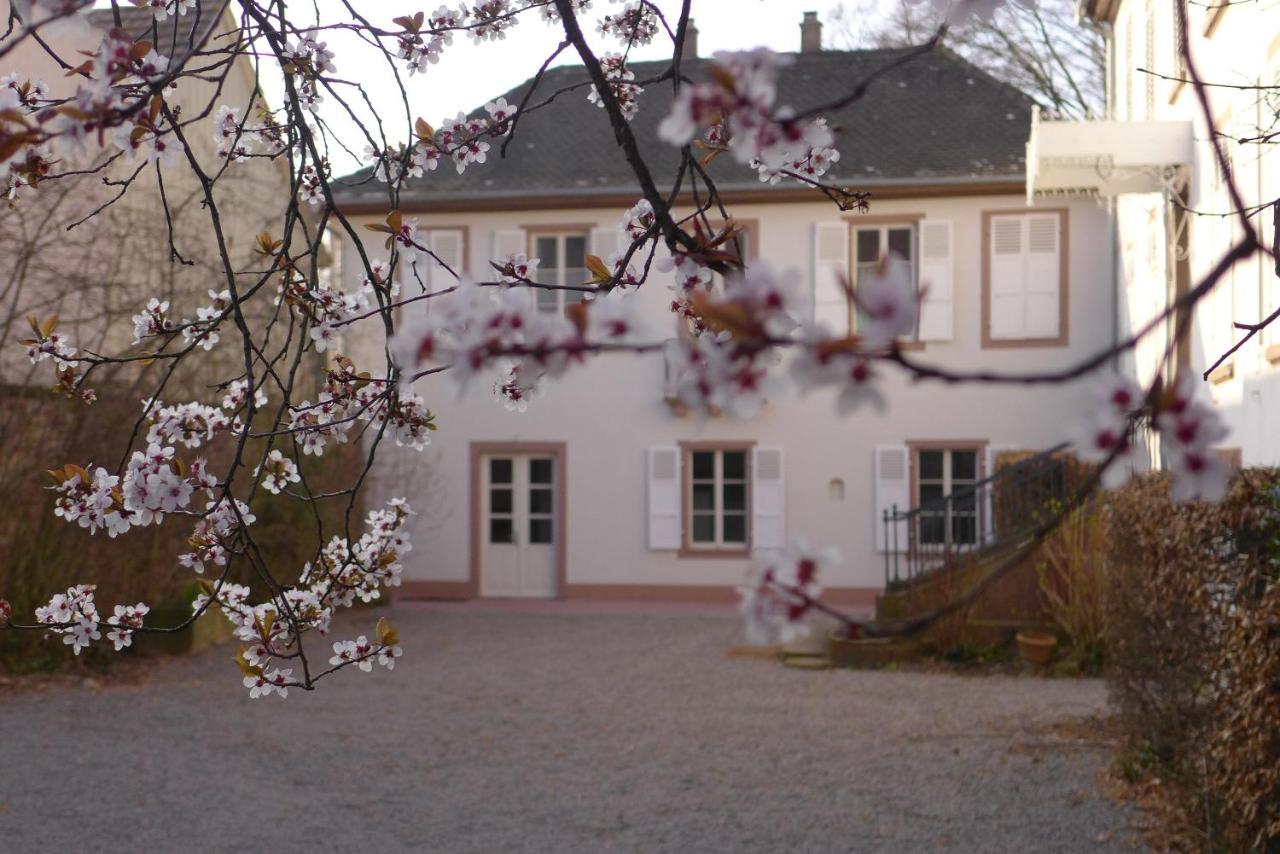 La Maison Carre Wolxheim Экстерьер фото